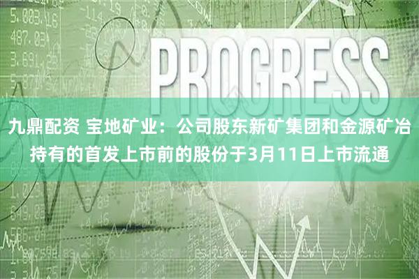 九鼎配资 宝地矿业：公司股东新矿集团和金源矿冶持有的首发上市前的股份于3月11日上市流通