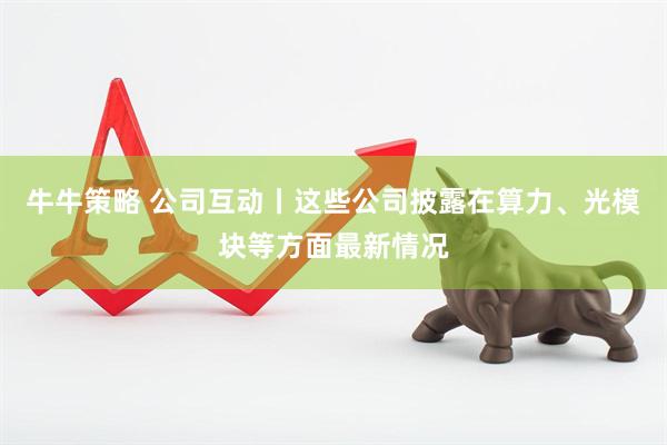 牛牛策略 公司互动丨这些公司披露在算力、光模块等方面最新情况