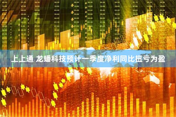 上上通 龙蟠科技预计一季度净利同比扭亏为盈